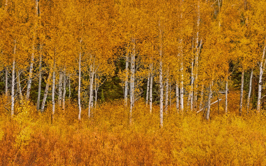 985922 (a): :1920x1200